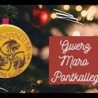 Cover maro pontkalleg